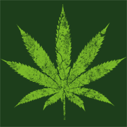 Yes We Cannabis. Legalize Marijuana!