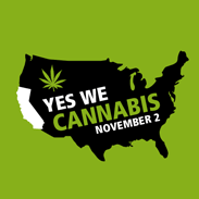 Yes We Cannabis November 2